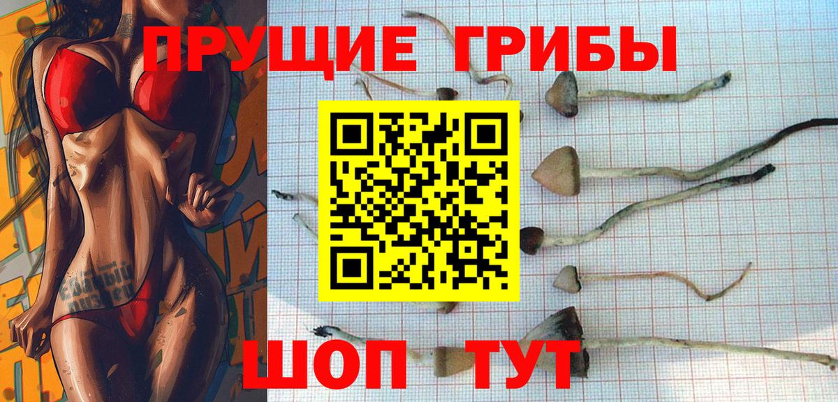 Псилоцибиновые грибы MAGIC MUSHROOMS  Вход с VPN  Можга  Галлюциногенные грибы ЛСД 