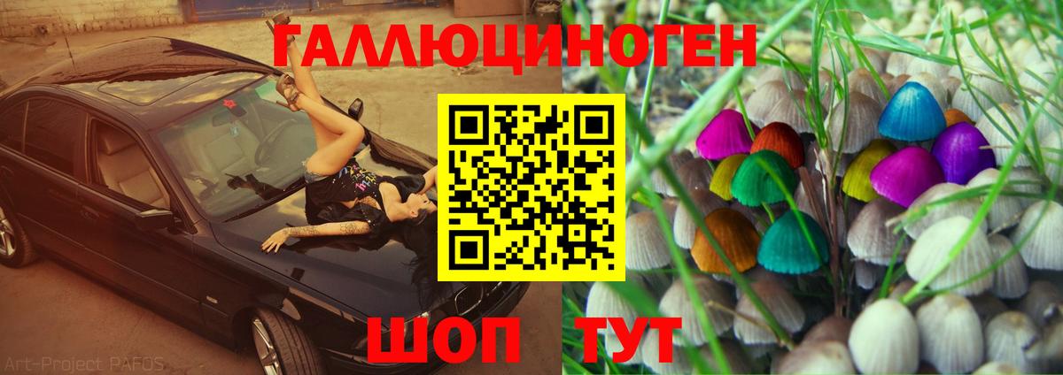 Псилоцибиновые грибы прущие грибы Можга